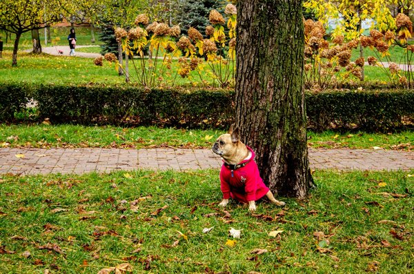 Soulagez vos douleurs avec le traitement Diclofénac