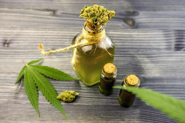 Guide ultime sur les fleurs de cannabidiol : ce qu'il faut savoir